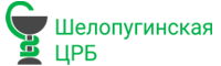  Шелопугинская ЦРБ